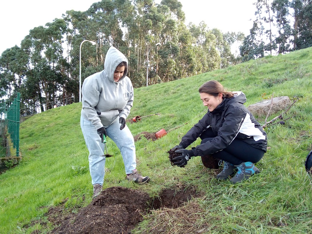 Programa Ecocampus